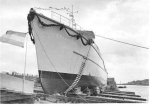 MSC-177