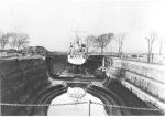 MSC-177