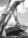 MSC-179