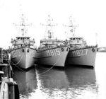 MSC-179