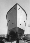 MSC-180