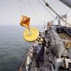 MSC-180