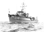 MSC-181