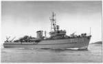 MSC-181