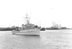 MSC-181