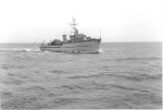 MSC-181