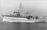 MSC-181