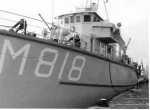 MSC-181