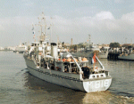 MSC-181