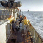 MSC-181