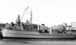 MSC-182