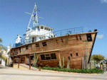 MSC-182