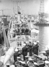 MSC-183