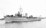 MSC-184
