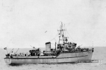MSC-184