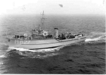MSC-184