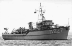 MSC-184