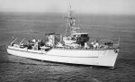 MSC-184
