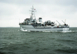 MSC-184