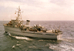 MSC-184
