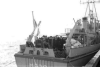 MSC-185