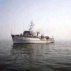 MSC-185