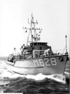 MSC-185