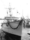 MSC-185