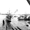 MSC-185
