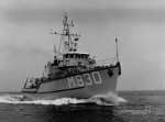 MSC-186