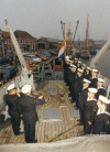 MSC-186