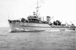 MSC-187