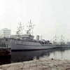 MSC-187