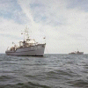 MSC-187