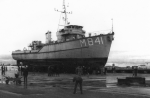 MSC-187