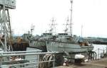 MSC-181