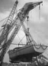 MSC-188