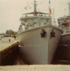 MSC-234