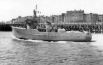 MSC-234