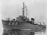 Albatross