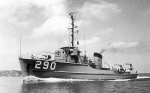 Gannet