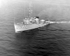 Gannet
