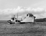 MSC-301