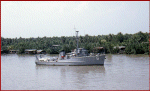 MSC-303
