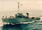 MSC-307