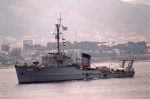 MSC-309