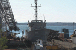 MSC-310