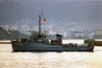 MSC-311