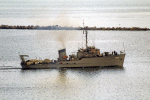 MSC-318