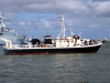 MSI-5